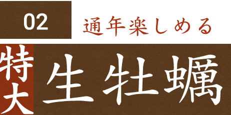 通年楽しめる特大生牡蠣